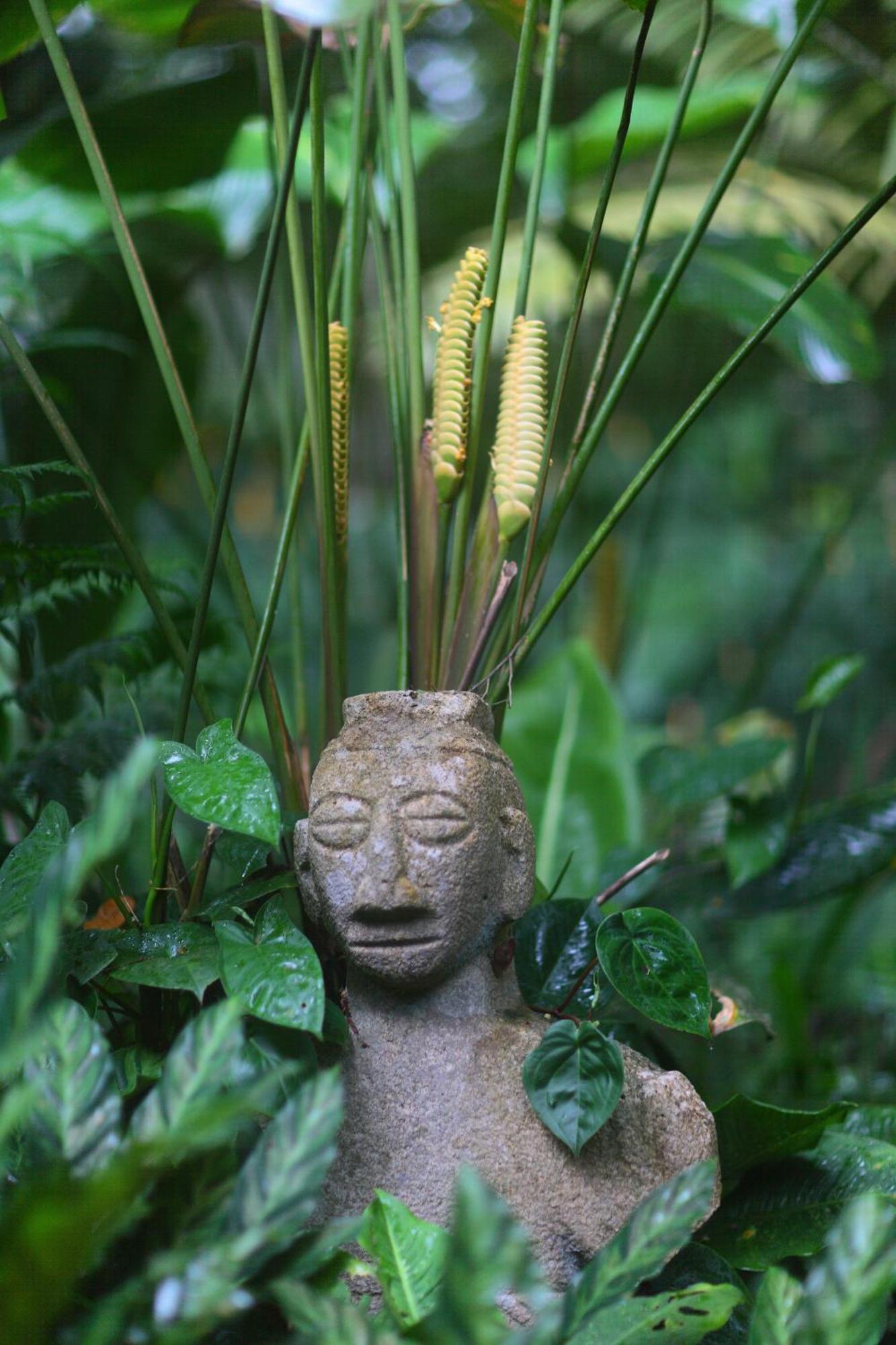 Casa Rio Blanco Eco Friendly B&B Guápiles Eksteriør billede