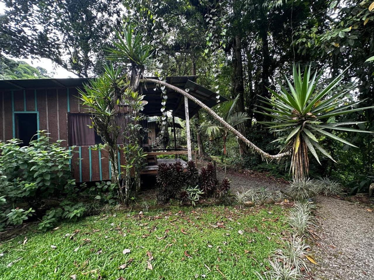 Casa Rio Blanco Eco Friendly B&B Guápiles Eksteriør billede