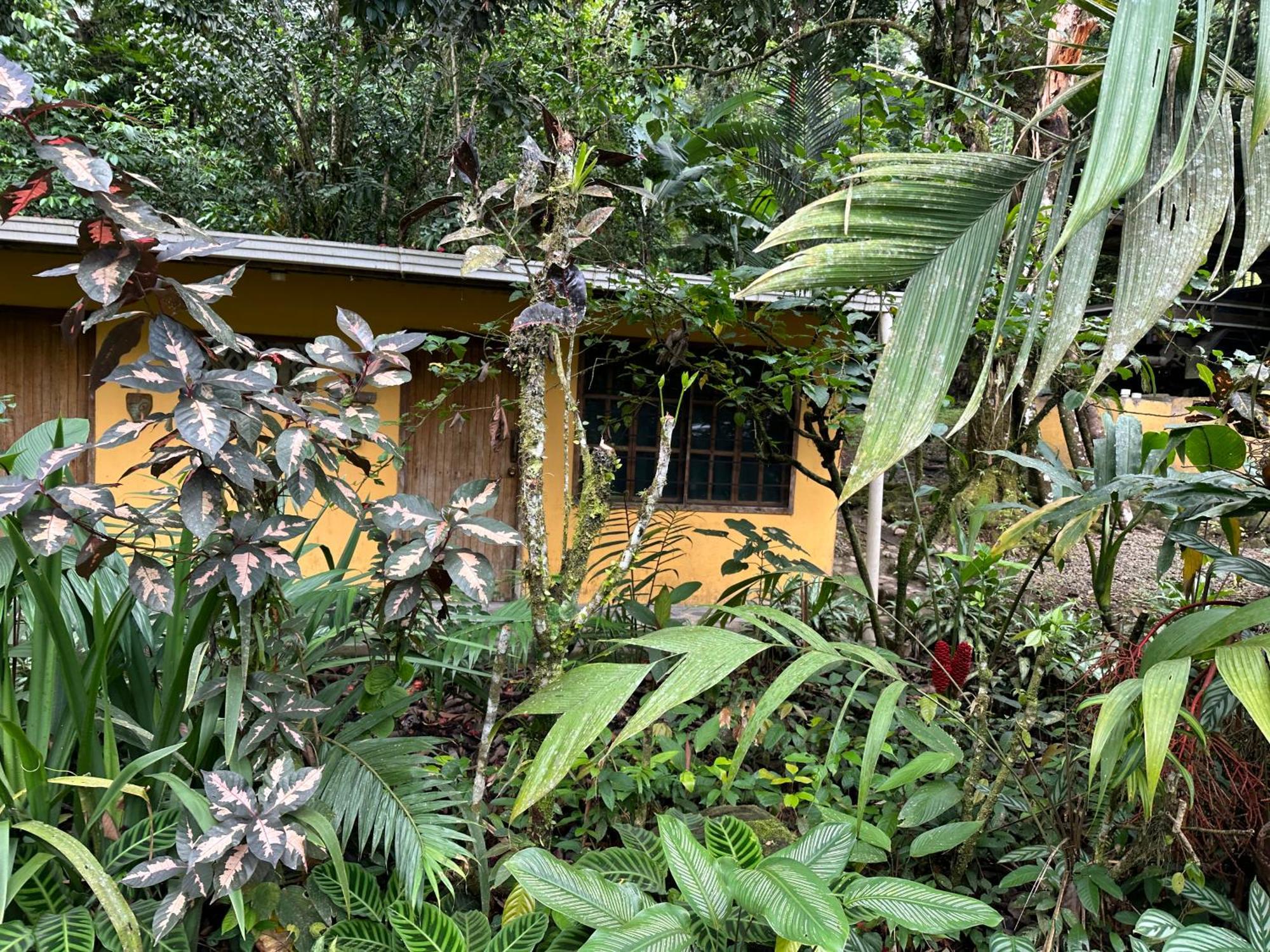 Casa Rio Blanco Eco Friendly B&B Guápiles Eksteriør billede